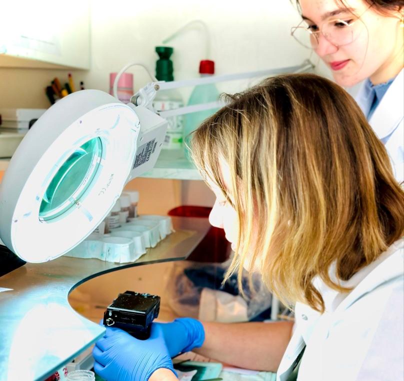 Medewerker die cellen met de microscoop aan het bekijken is