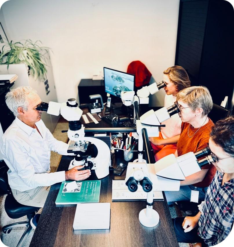Drie medewerkers en de zaakvoerder die in een microscoop kijken